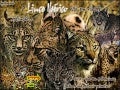 Animais Em Extincao Ccc
