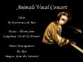 Animals' Vocal Concert (YouTube)