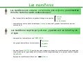 Tipos de Animales y sus características