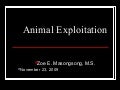 Animal Exploitation