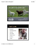 Small Ruminant Health