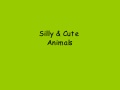 Silly Animals