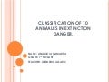 Animals In Extinction Danger.