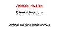 Animals revision