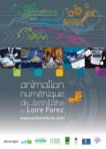 Animation numérique de territoire en Loire Forez - 2012