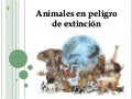 Animlas En Peligro De Extincion