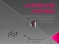 Anthony crasto  ladderanes