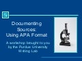 Apa Guidelines