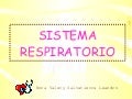 Aparato Respiratorio