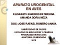Aparato urogenital en aves