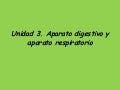 Aparato digestivo