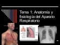 Aparato respiratorio