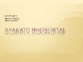 Aparato Urogenital