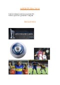 Apertura 2011
