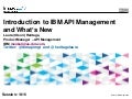 Introduction to IBM API Management 