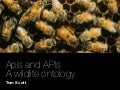 Apis And APIs a wildlife ontology