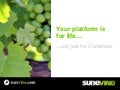 A platform is for life not just for christmas