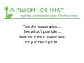 A Plugin For That presentation
