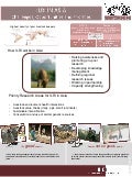 ILRI in Asia: challenges, opportunities and priorities