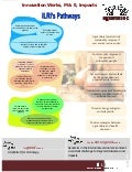 Innovation works, M & E, impacts: ILRI's pathways