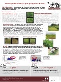 Selecting Rhodes and Napier grass genotypes for dry areas