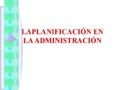 Apo (1)