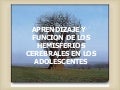 Aprendizaje Y Hemisferios Cerebrales