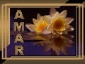 Aprendiendo Amar