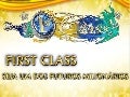 Apresentacao first class Internationalfirstclass  ID  SERGIOCJ