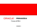 Apresentacao primavera p6 r8   novas funcionalidades