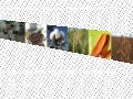 Agribusiness Brasileiro em Números