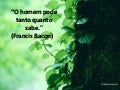 Pensamentos...