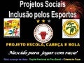 Apresentação2