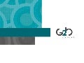 Flayer G2BServices