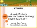 Aquatic biofuels presentation KMFRI
