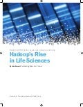 Whitepaper : CHI: Hadoop's Rise in Life Sciences 