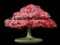 El Arbol de los amigos