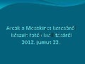 Arcok a mesekincs keresőről