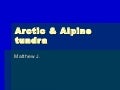 Arctic & Alpine Tundra Jacobs