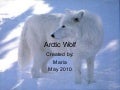 Arctic wolf