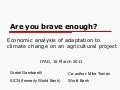 Are you brave enough? Economic evaluation of climate change adaptation projects