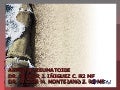 Artritis Reumatoide 
