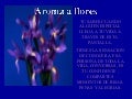 Aroma a flores