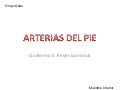 ARTERIAS DEL PIE GRUPO ATLAS ANATOMIA HUMANA