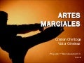 Artesmarciales 120402070109-phpapp02