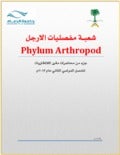 Arthropoda (invertebrate lectures)2013