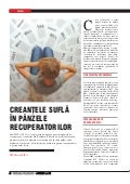 Articol Efinance martie 2010 - Creantele sufla in panzele recuperatorilor