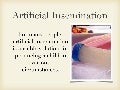 Artificial Insemination