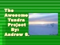 A Schenkel Theawsome Tundra