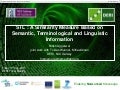 STL: A similarity measure based on semantic and linguistic information